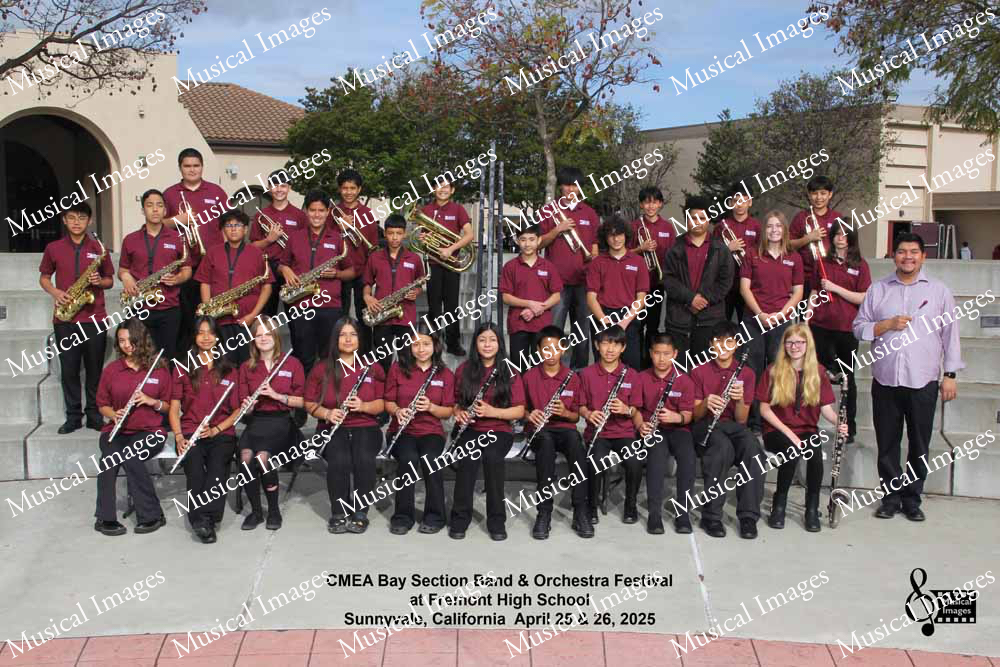 Musical Images